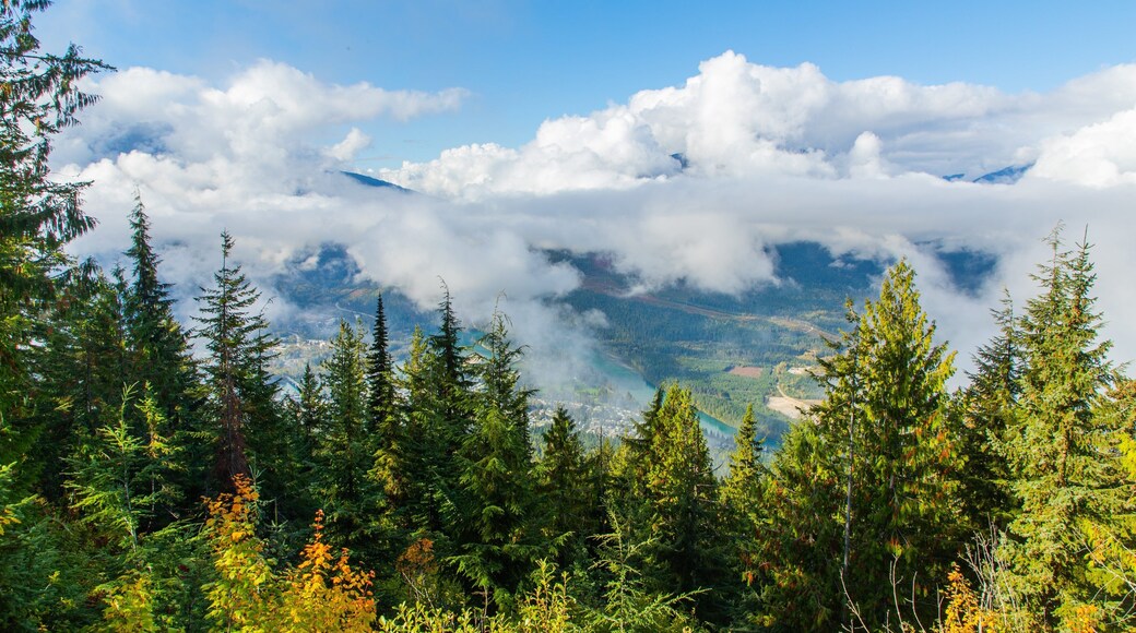 Mount Revelstoke National Park showing tranquil scenes and mist or fog