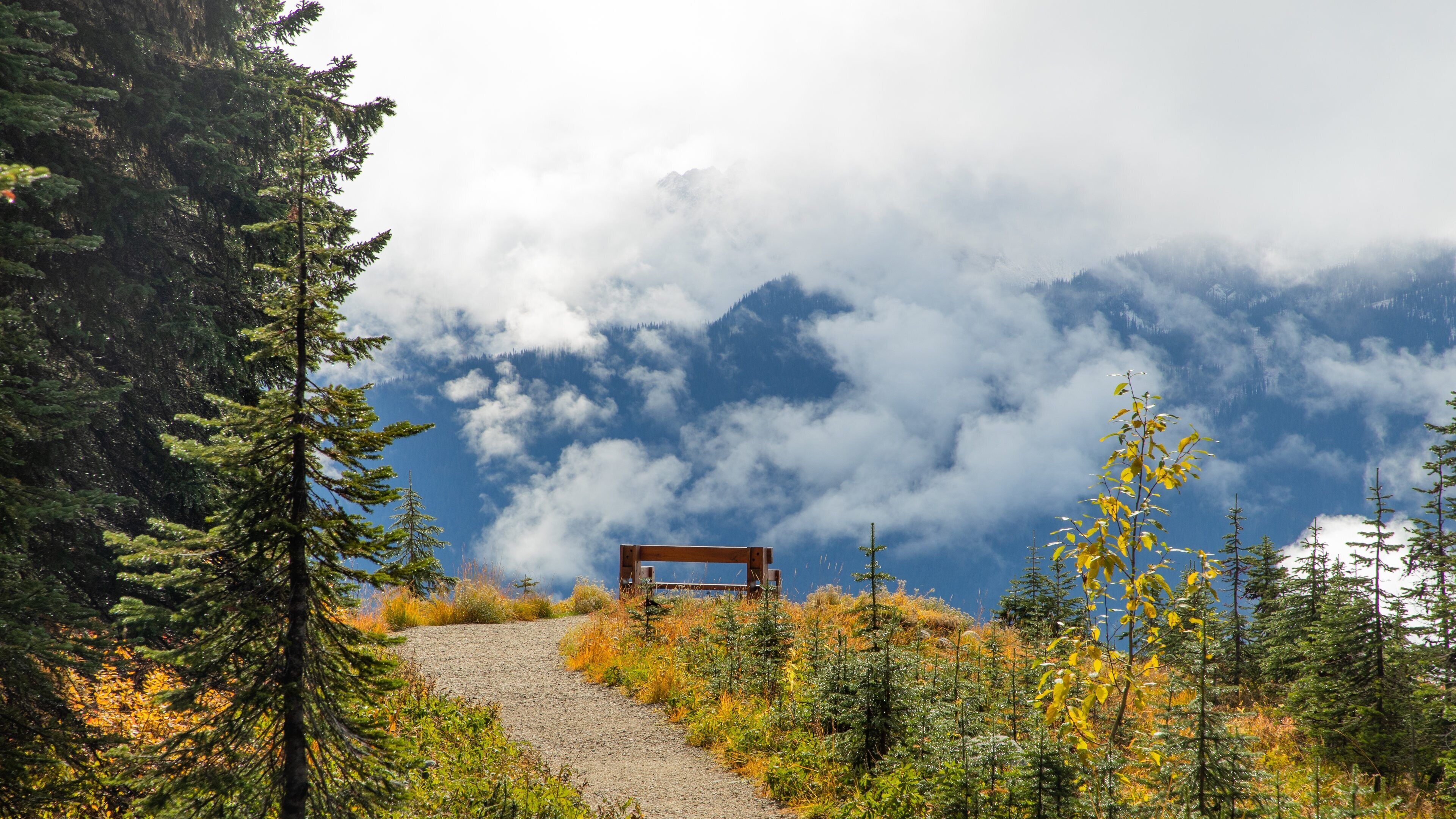 Mount Revelstoke National Park which includes mist or fog and tranquil scenes