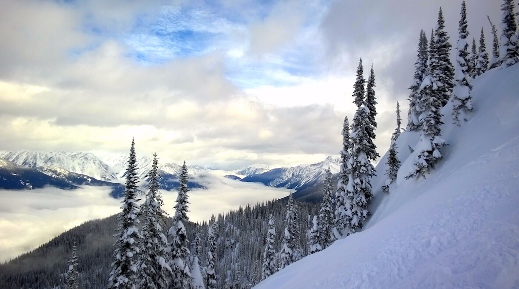I recently tried splitboarding for the first time in the backcountry around Revelstoke. This shot was taken while splitboarding up the north side of Mt Mackenzie, the out of bounds area at Revelstoke Mountain Resort. Such an incredible day!