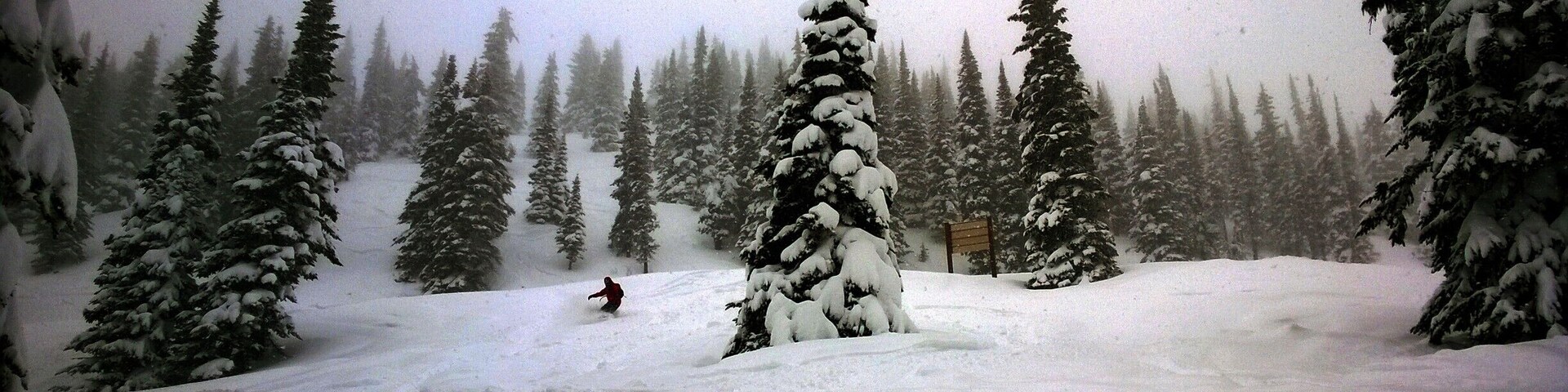 Riding the powder in the beautiful glades at Revelstoke Mountain Resort. #snow
