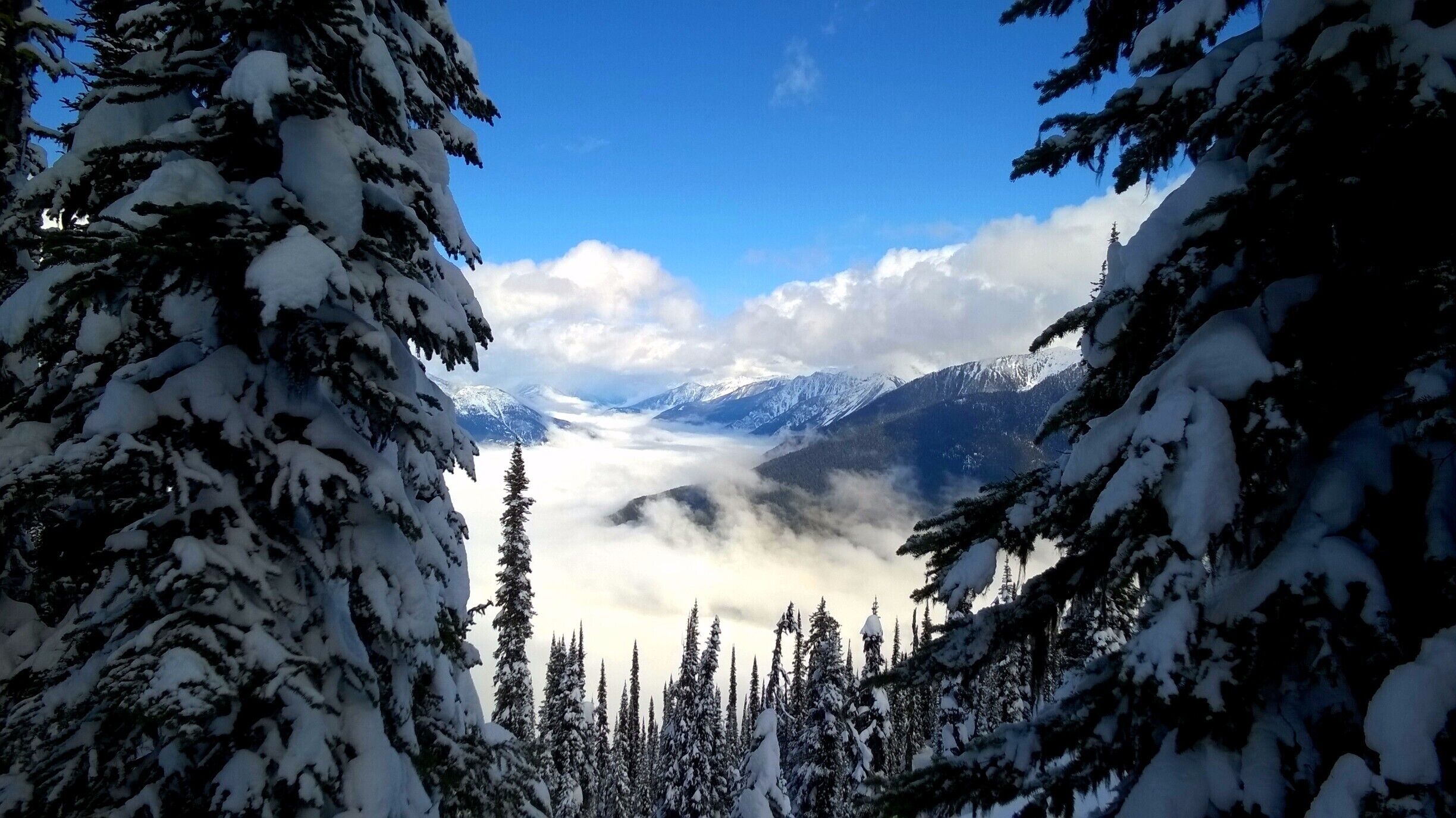 I recently tried splitboarding for the first time in the backcountry around Revelstoke. This shot was taken while splitboarding up the north side of Mt Mackenzie, the out of bounds area at Revelstoke Mountain Resort. Such an incredible day!
