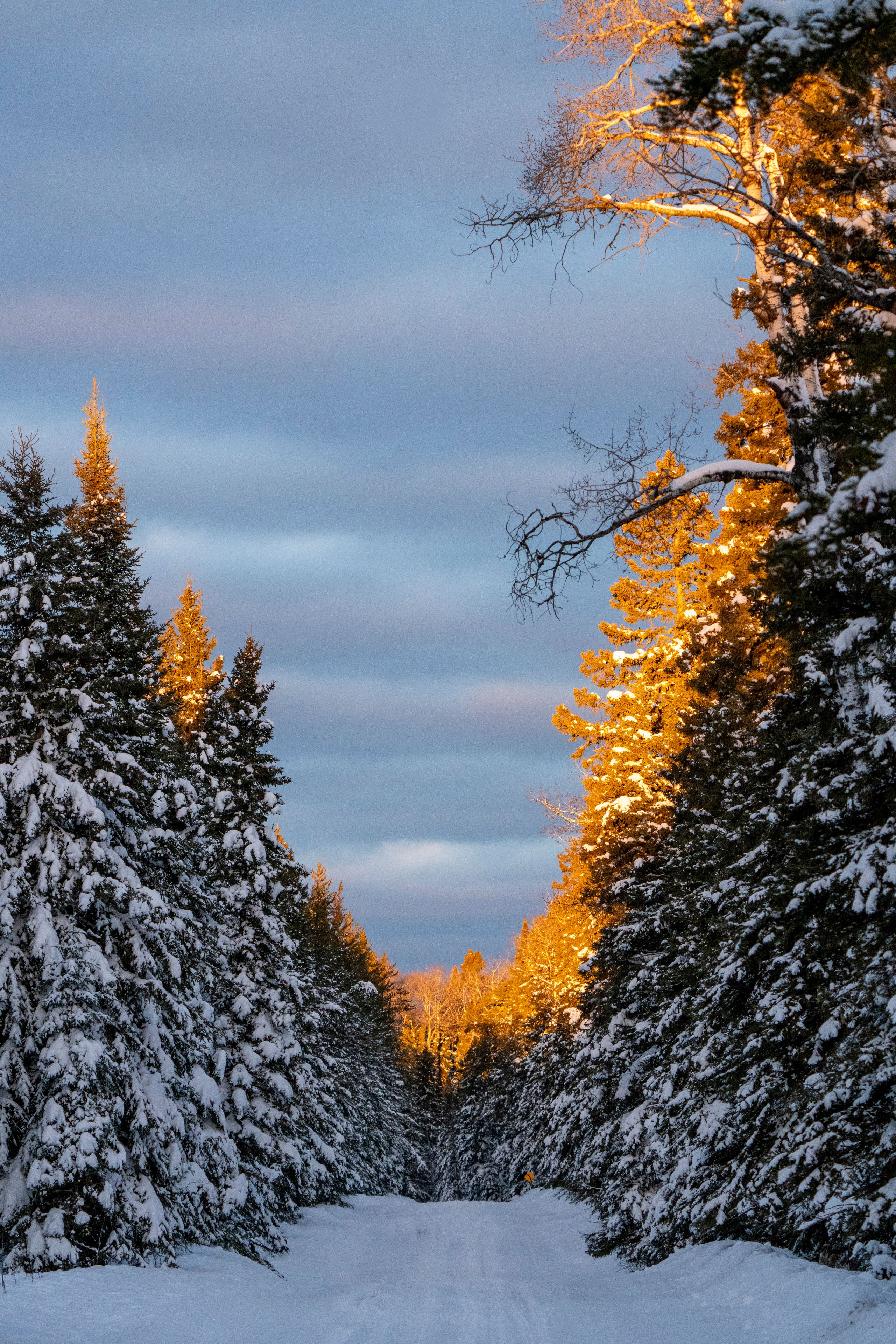 Sunrise Waskesiu Saskatchewan
