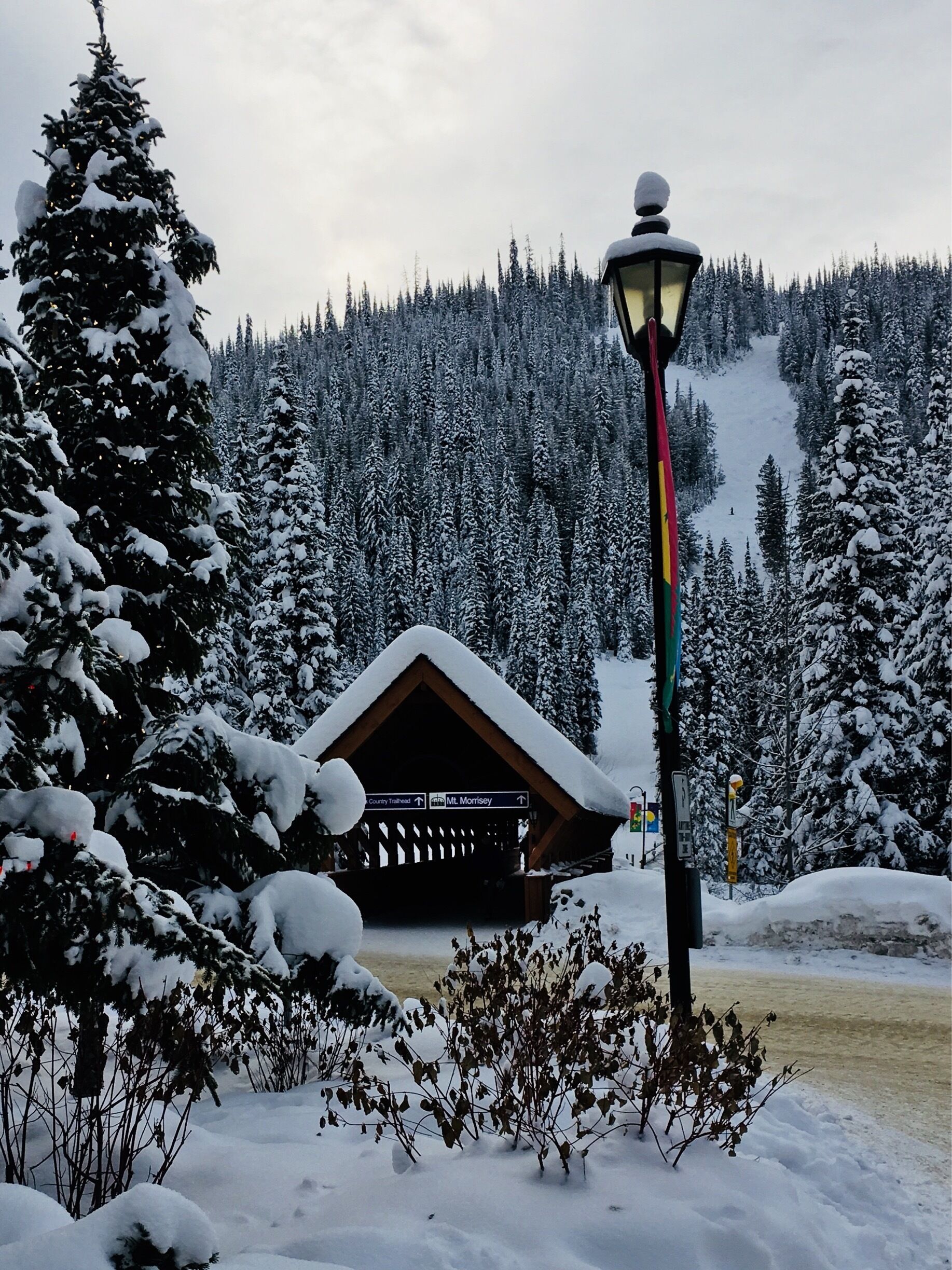 Time  to head over Morrissey.  
#lifeatexpedia