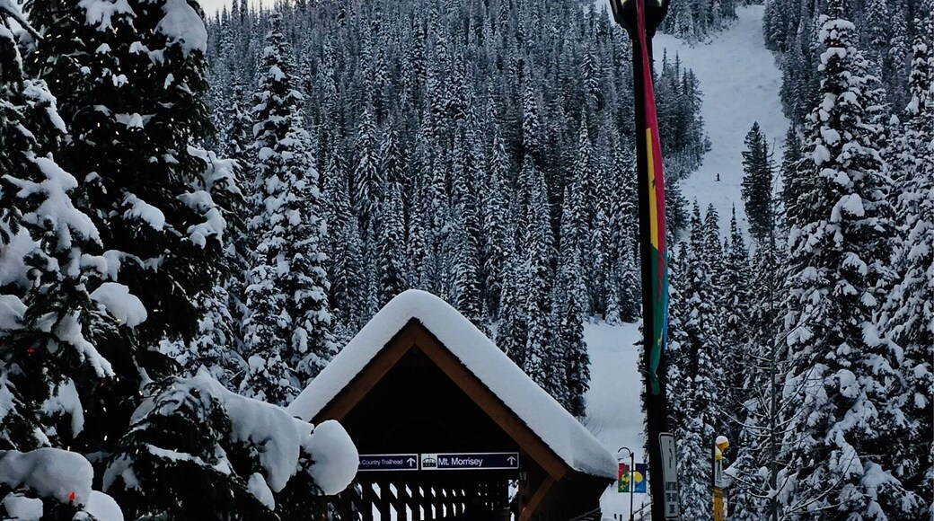 Time to head over Morrissey.
#lifeatexpedia