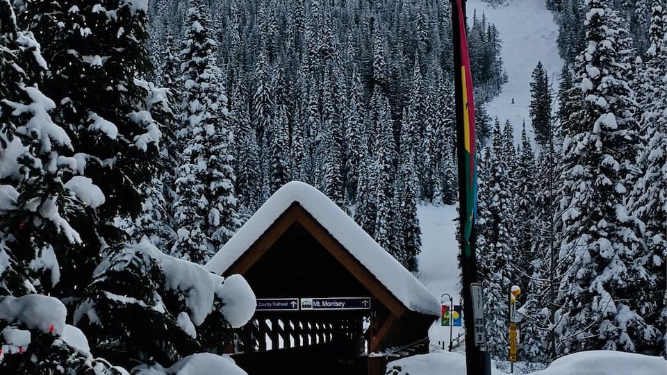 Time to head over Morrissey.
#lifeatexpedia