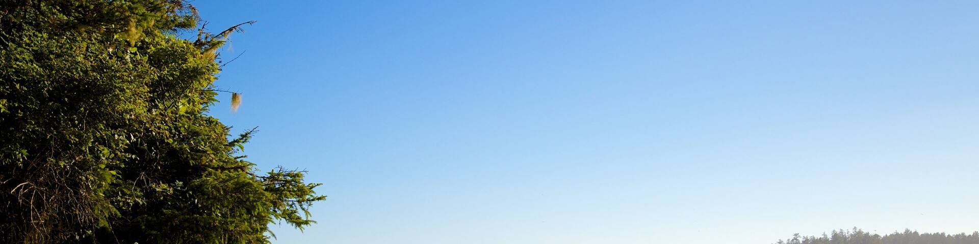 Pacific Rim National Park Reserve featuring general coastal views and a sandy beach