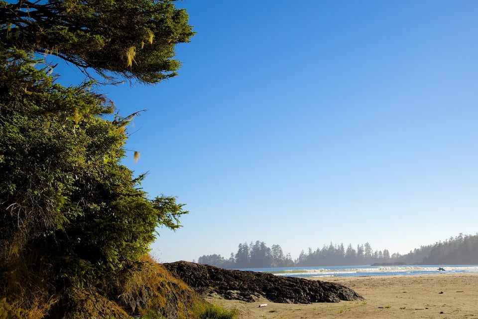 En strand med en stenig kustlinje, vågor som slår in mot land och en skog i bakgrunden.