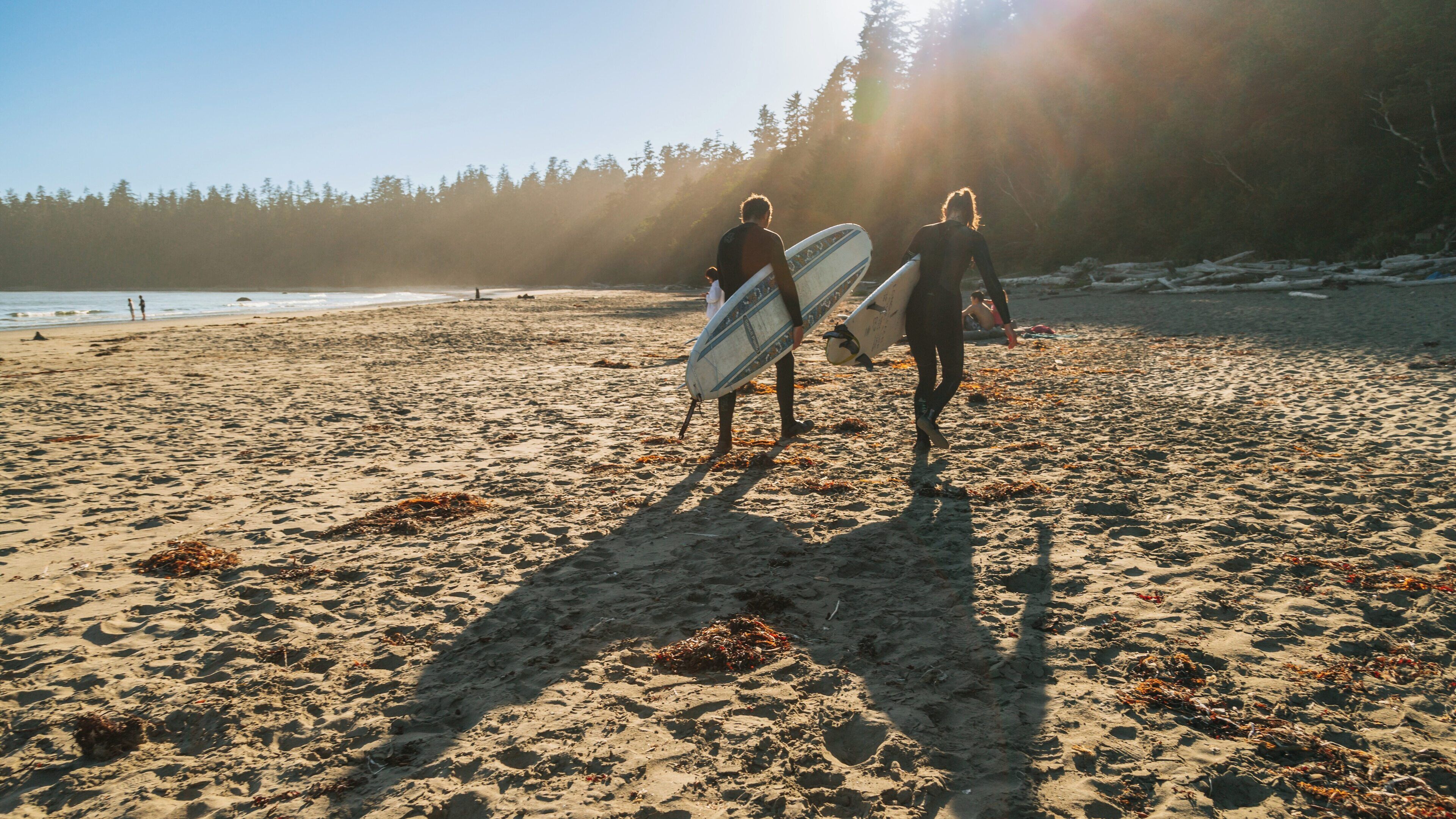 Surfers carrying boards at sunset in Pacific Rim National Park Reserve, Lake Cowichan, British Columbia, Canada