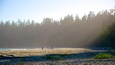 Une plage où une personne pêche, entourée d’une forêt dense et sous un ciel dégagé.