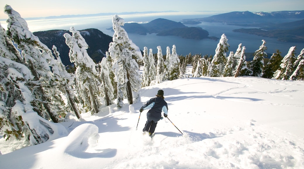 Cypress Mountain showing snow, snow skiing and landscape views