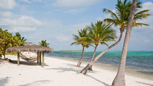 Beach on Little Cayman Island; Shutterstock ID 73358377; Purchase Order: -