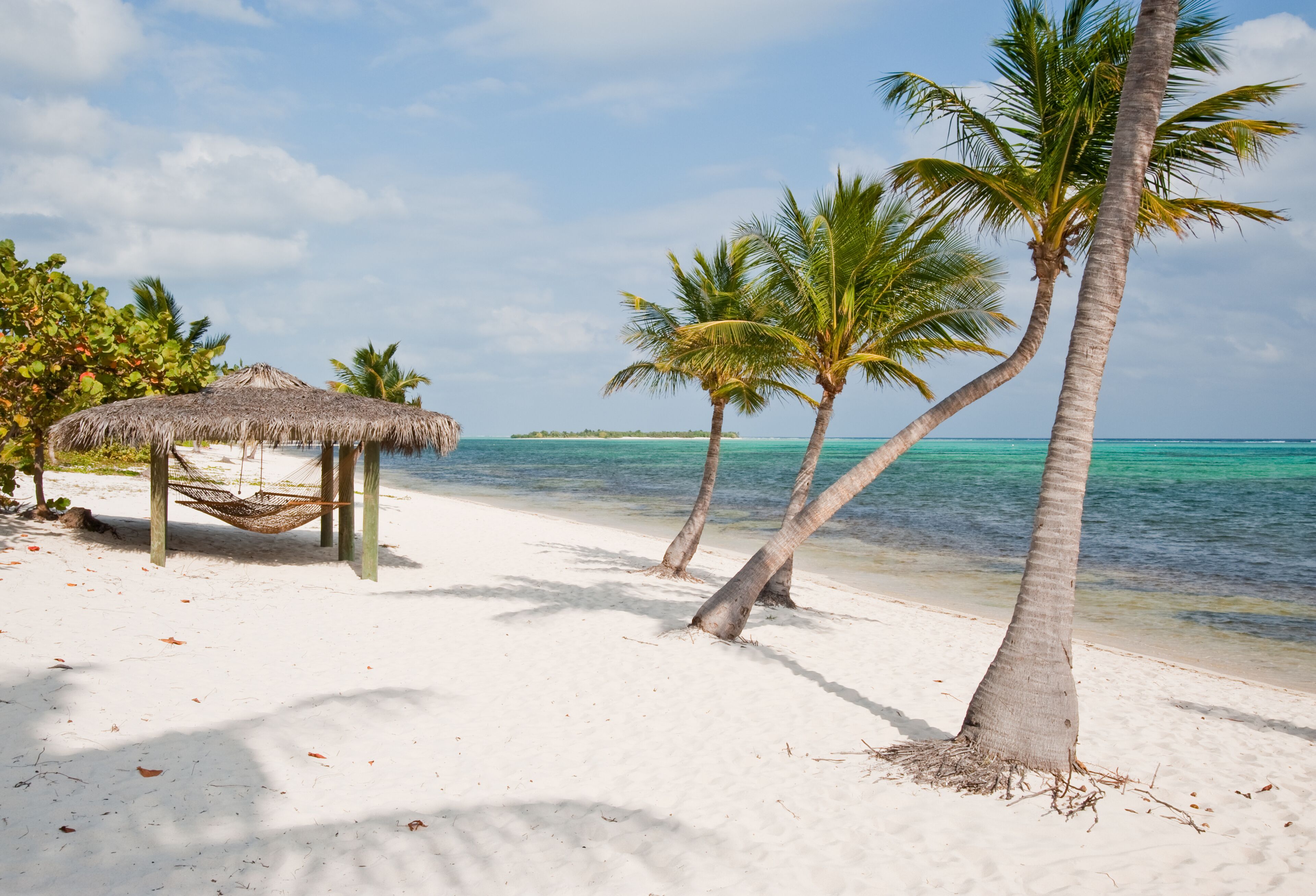 A beach with white sand, palm trees, and a thatched hut.