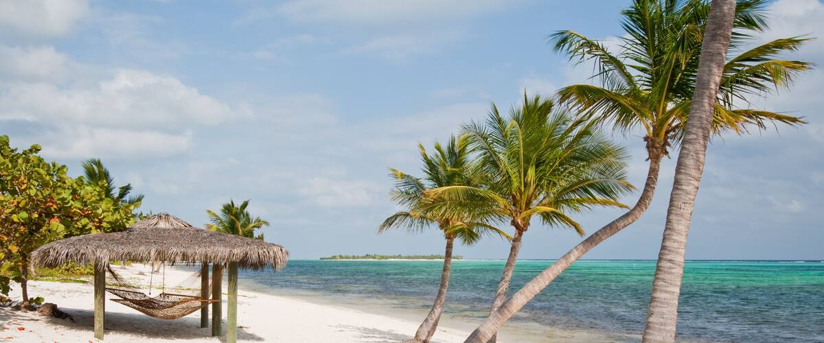 A beach with white sand, palm trees, and a thatched hut.