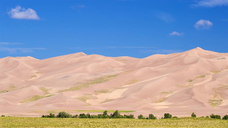 Rolling sand dunes with sparse vegetation under a clear blue sky.