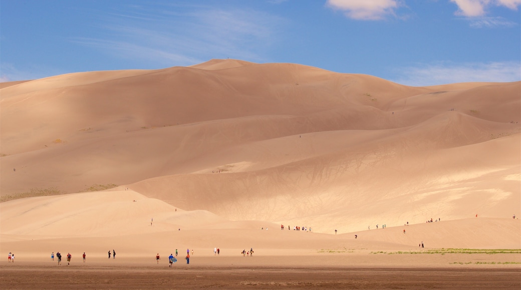 Great Sand Dunes National Park which includes landscape views and desert views as well as a small group of people