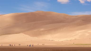 Great Sand Dunes National Park which includes landscape views and desert views as well as a small group of people
