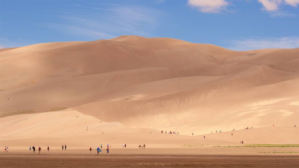 A desert landscape with rolling sand dunes and a clear blue sky.