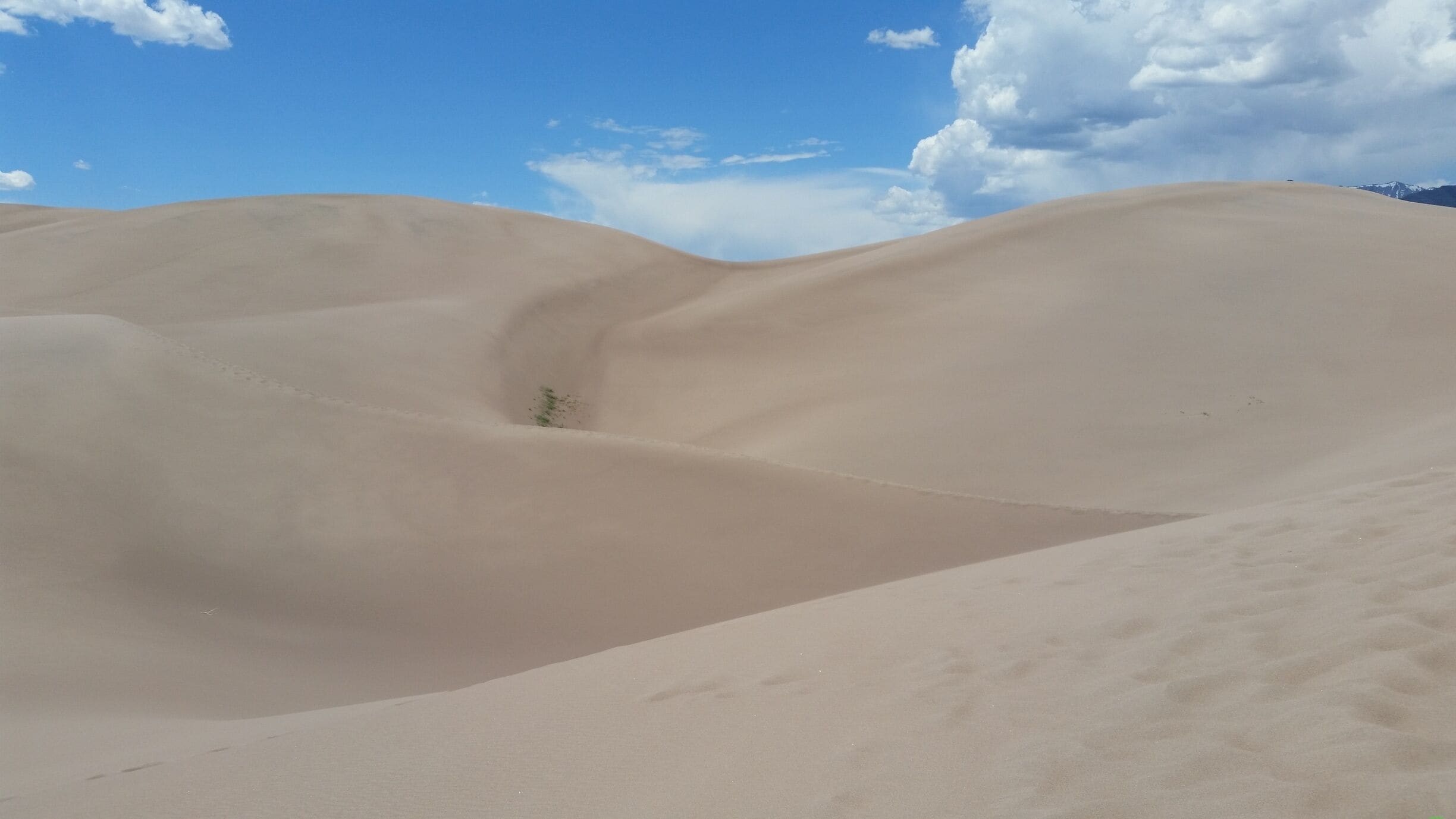 Certain times of the year there is an awesome creek that runs by the dunes. Great way to cool off after hiking the hot dunes!