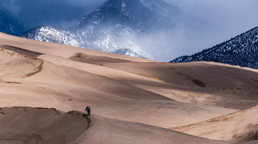 This was the first time visiting the Great Sand Dunes in Colorado and what an amazing place. The contrast of biomes is very unique to our planet. Every season sees major changes which help to keep the park ever changing. #nature #colorado #usa #travel #adventure #mountains #sand #rockymountains