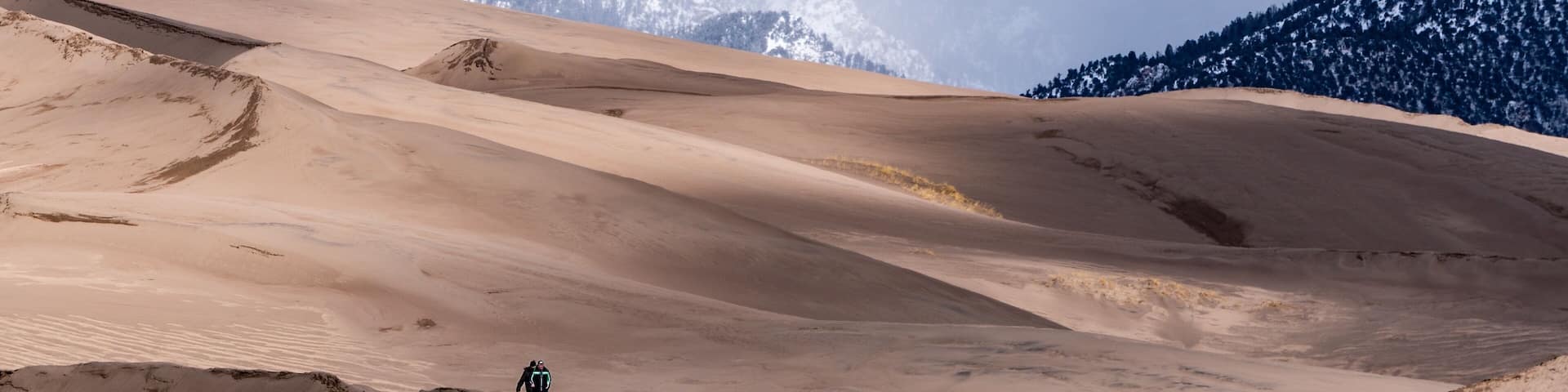 This was the first time visiting the Great Sand Dunes in Colorado and what an amazing place. The contrast of biomes is very unique to our planet. Every season sees major changes which help to keep the park ever changing. #nature #colorado #usa #travel #adventure #mountains #sand #rockymountains
