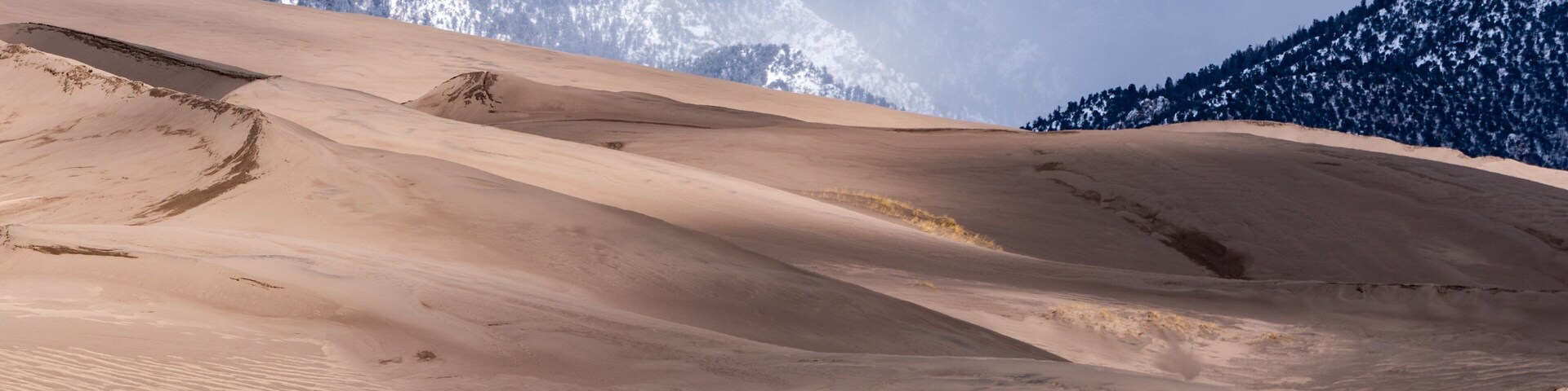 This was the first time visiting the Great Sand Dunes in Colorado and what an amazing place. The contrast of biomes is very unique to our planet. Every season sees major changes which help to keep the park ever changing. #nature #colorado #usa #travel #adventure #mountains #sand #rockymountains