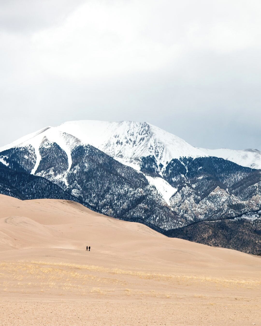 A vast desert with a snow-capped mountain in the background.