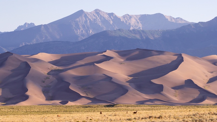 Sand dunes with a mountain range in the background.