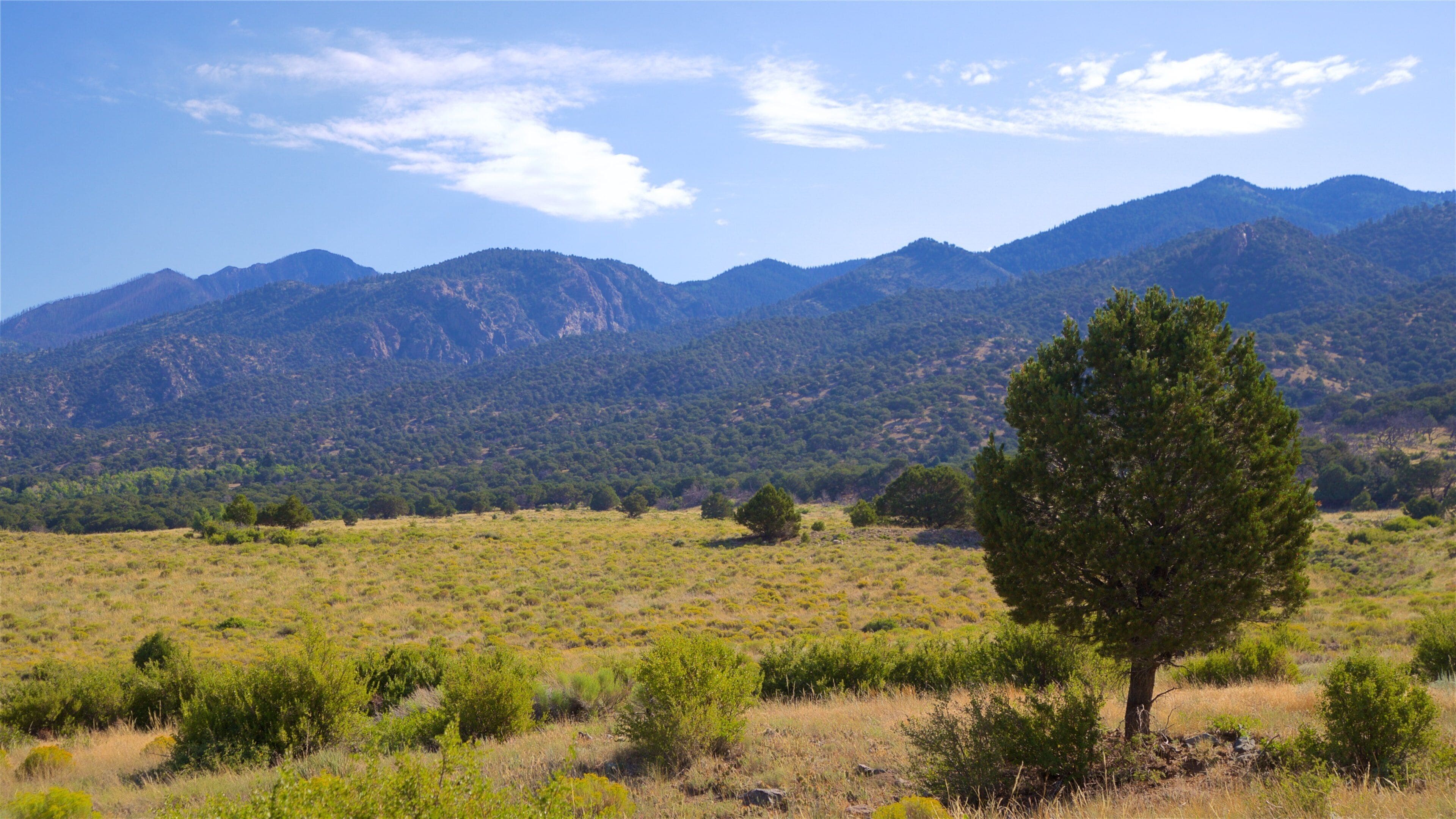 A mountainous landscape with a prominent tree in the foreground and a clear sky.