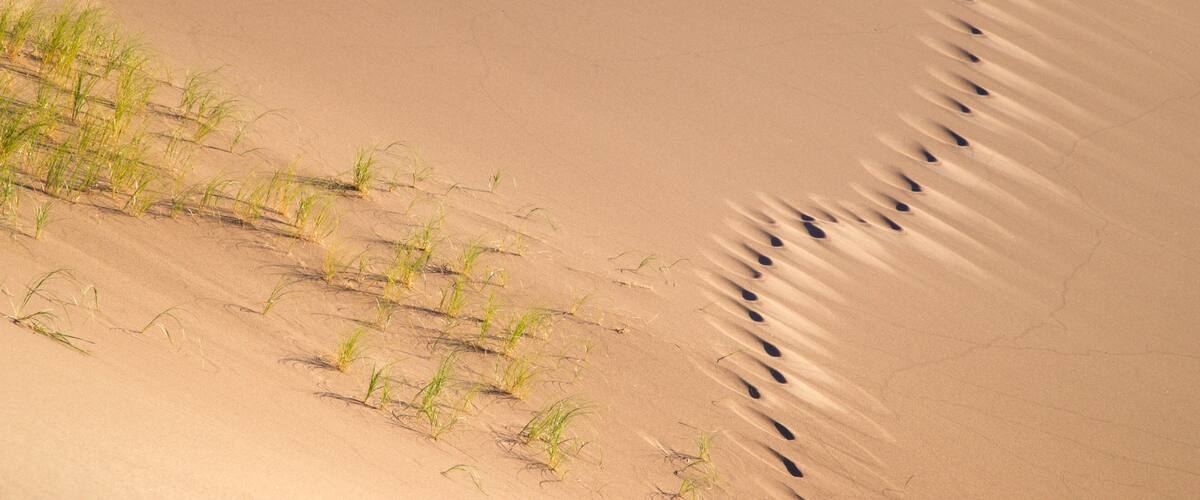 Great Sand Dunes National Park which includes desert views