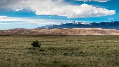 Just before a summer shower hit