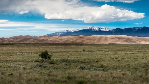 Just before a summer shower hit