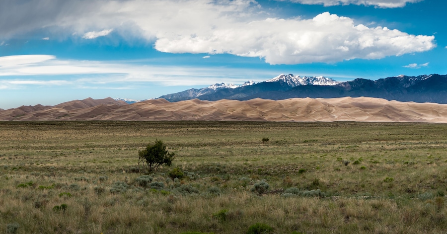 Just before a summer shower hit