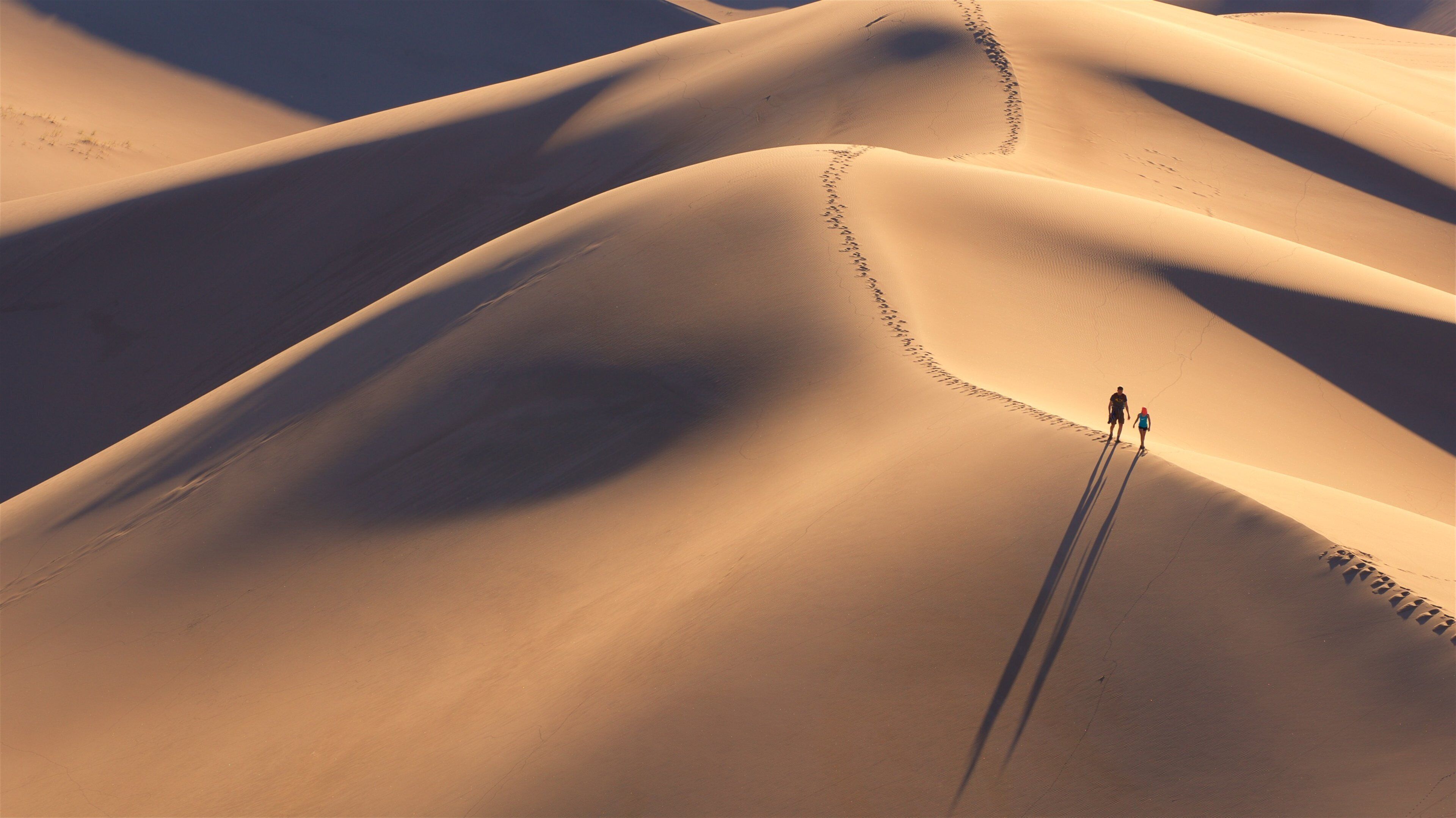 Great Sand Dunes National Park showing desert views and a sunset as well as a couple