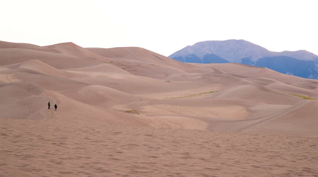 Great Sand Dunes National Park showing desert views and landscape views as well as a couple