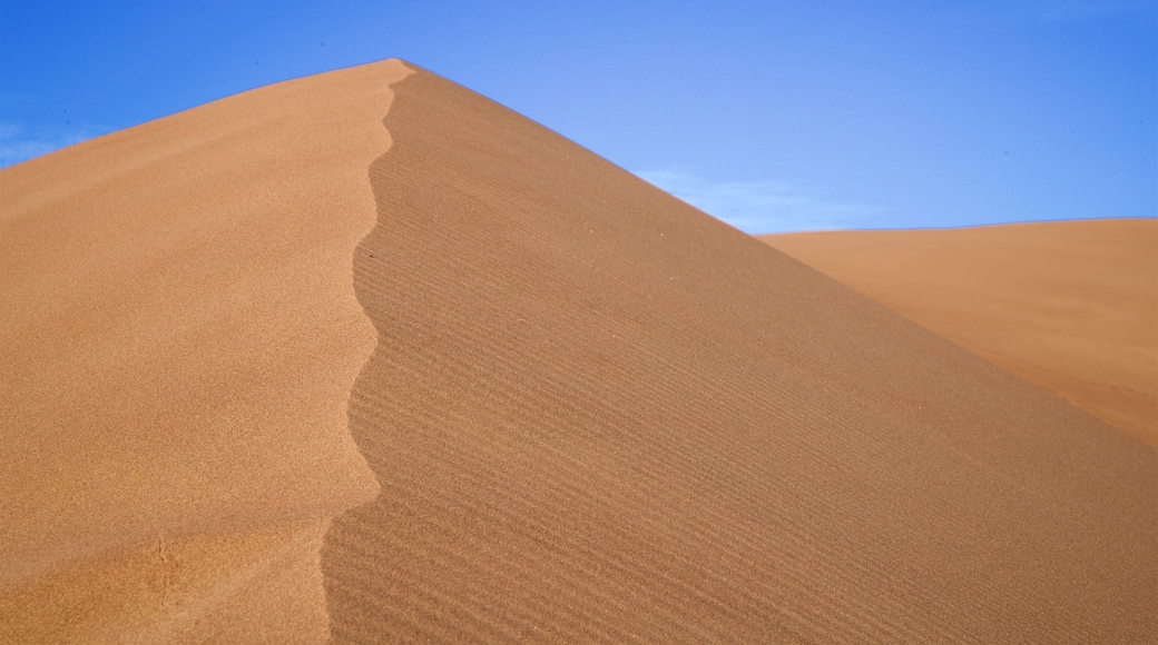 Great Sand Dunes National Park showing desert views