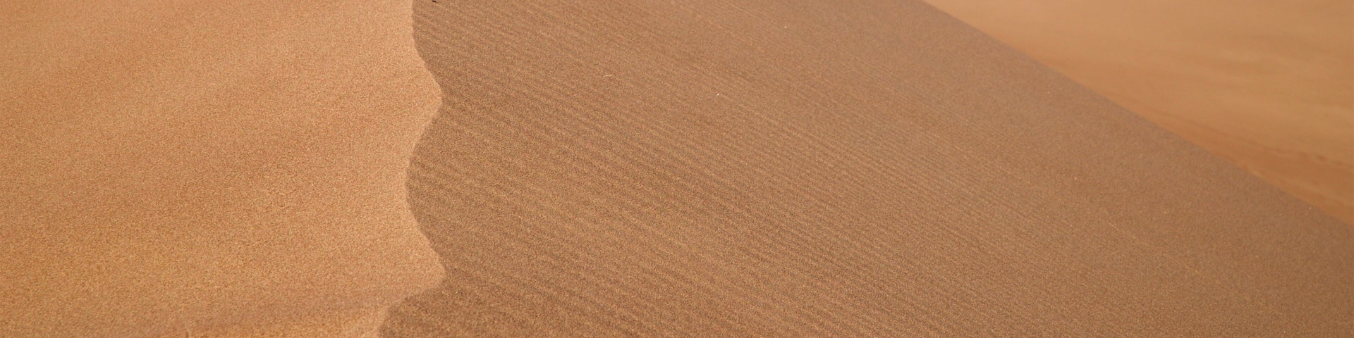 Great Sand Dunes National Park showing desert views