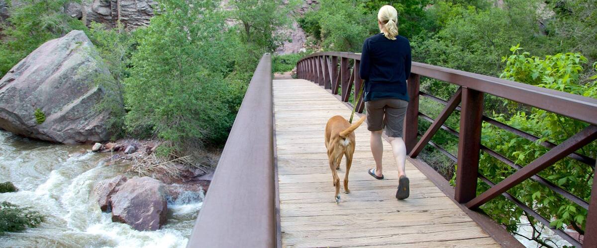 Eldorado Canyon State Park showing hiking or walking and a bridge