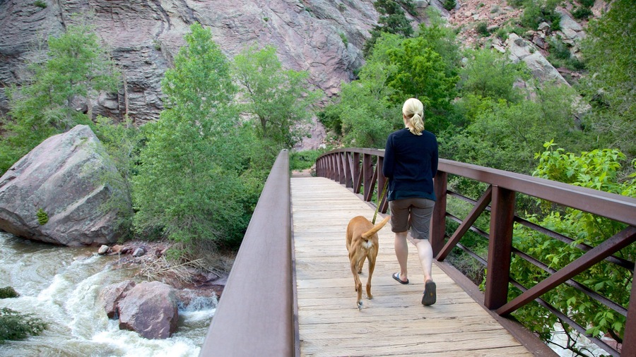 Eldorado Canyon State Park showing hiking or walking and a bridge