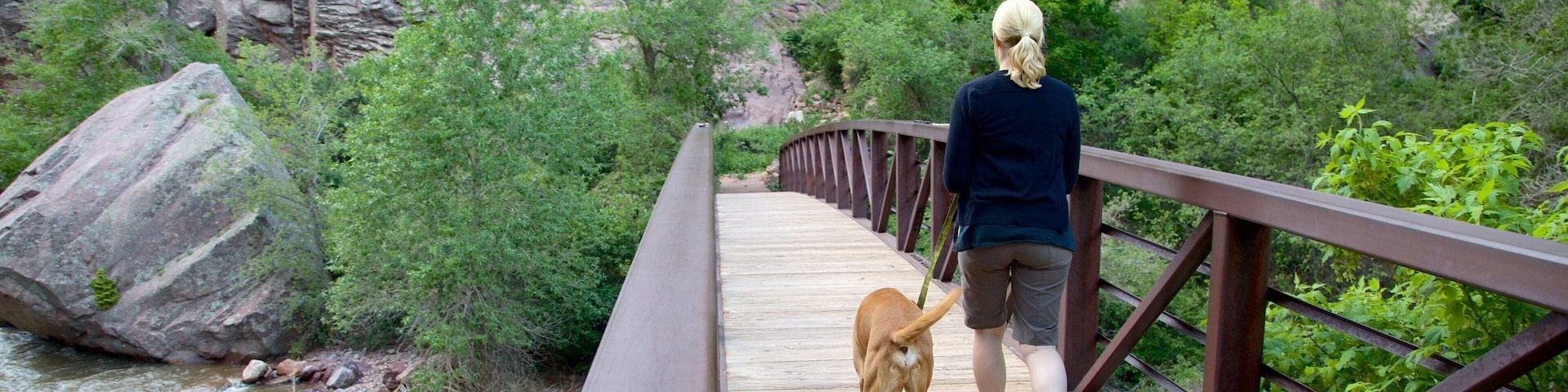 Una persona pasea un perro sobre un puente de madera que cruza un río, rodeado de follaje y acantilados rocosos.