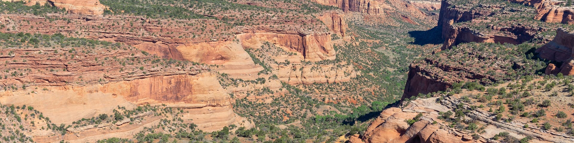 Rattlesnake Canyon in McInnis Canyons National Conservation Area, Colorado state, USA