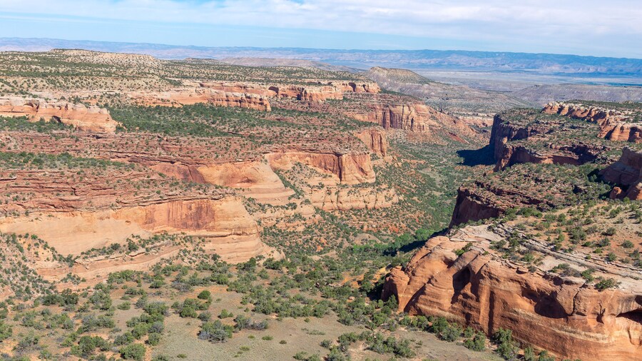黑脊峽穀野生動物園 (BRCW)