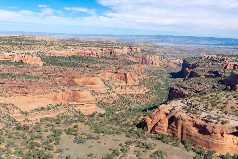 Un extenso paisaje de cañón con destacadas formaciones rocosas rojas y vegetación verde dispersa.