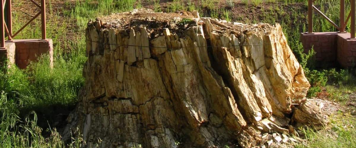Florissant Fossil Beds National Monument
