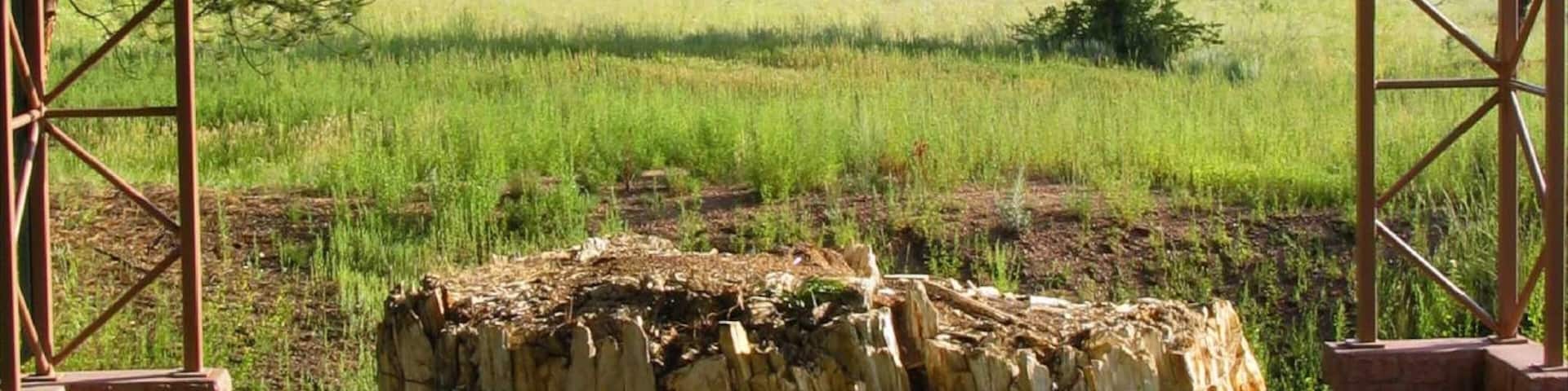 Florissant Fossil Beds National Monument