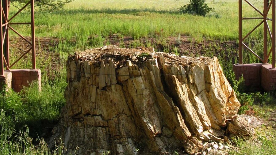 Florissant Fossil Beds National Monument