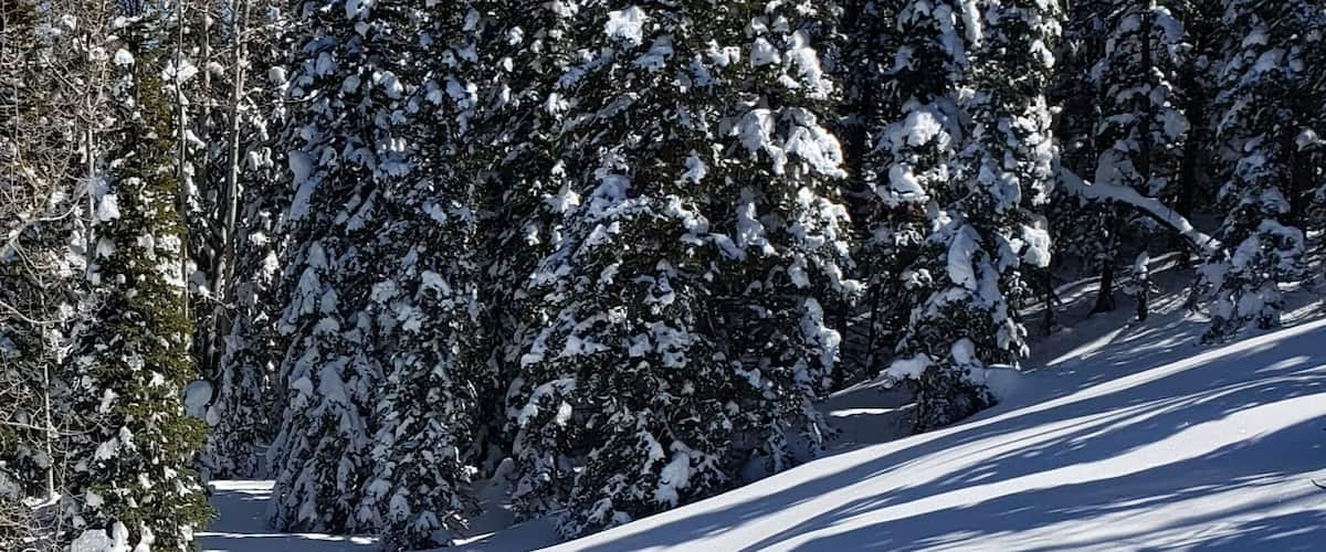 View from Powderhorn's West End ski lift.