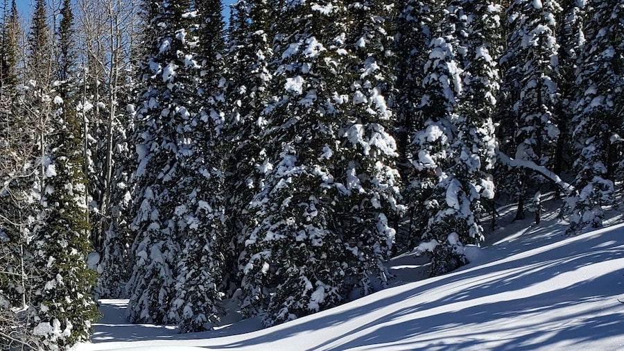 View from Powderhorn's West End ski lift.