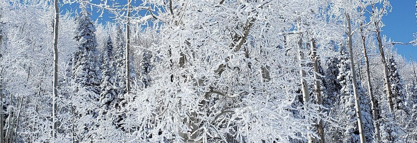 40 minute drive from Grand Junction, Colorado