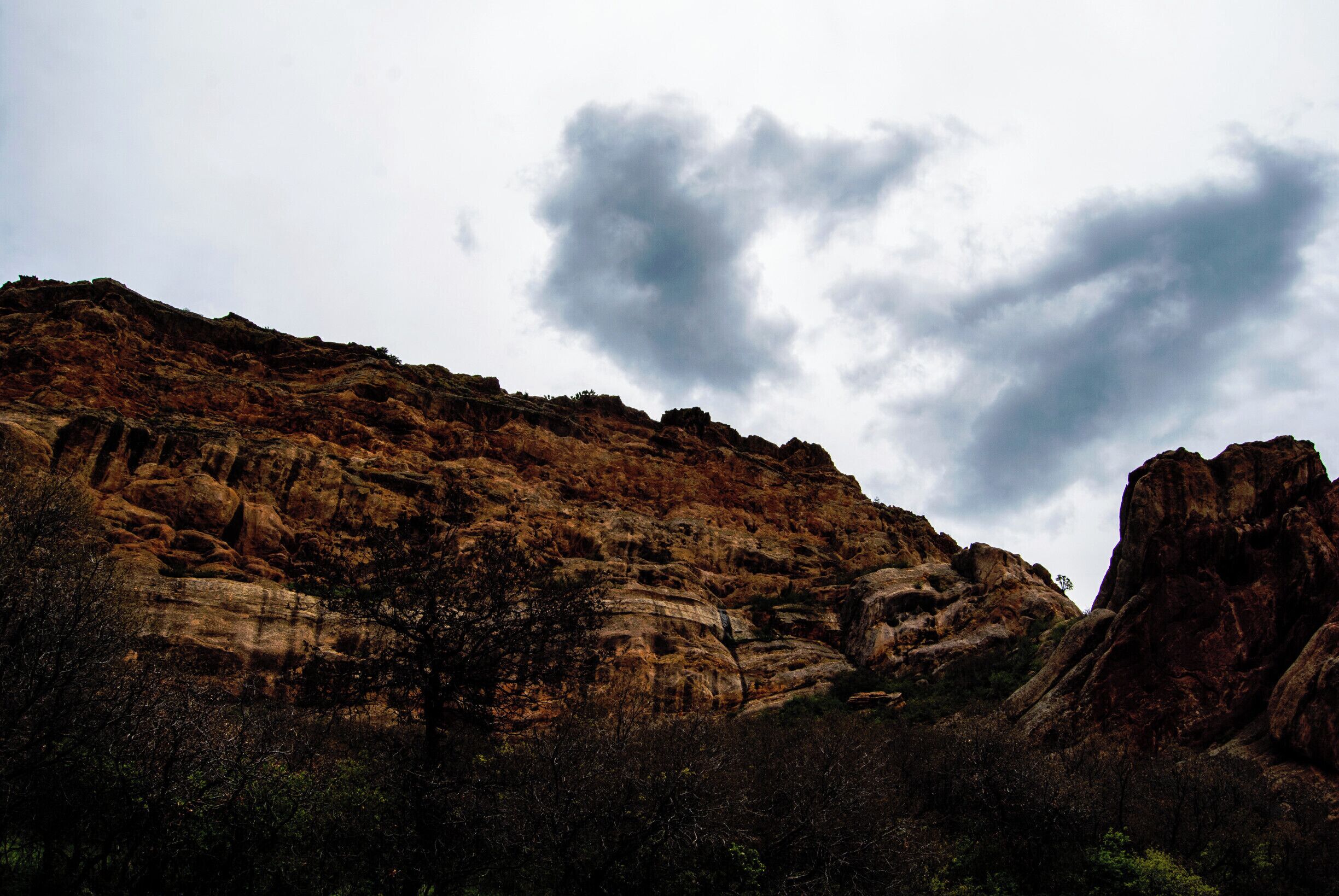 To me this is the best photo I took from Roxborough