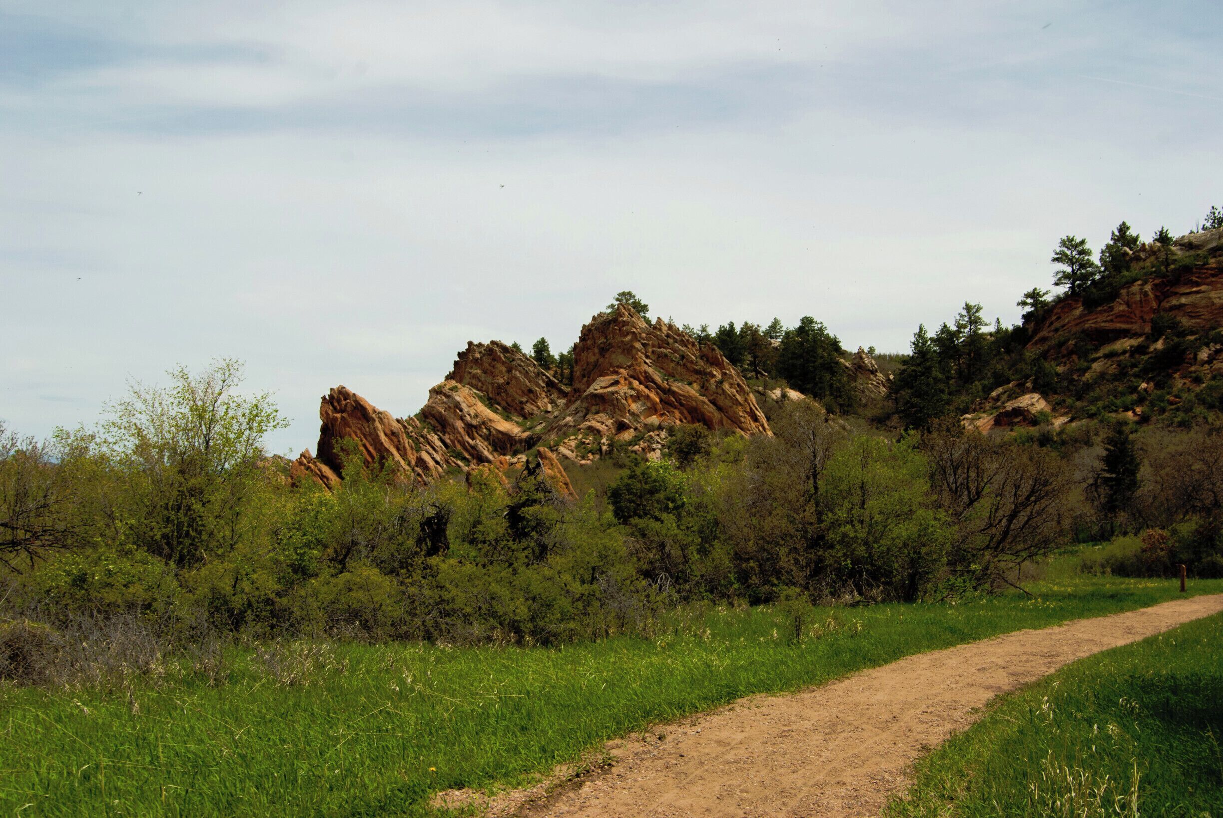 There will be a lot of pictures of Roxborough today. Like this amazing one